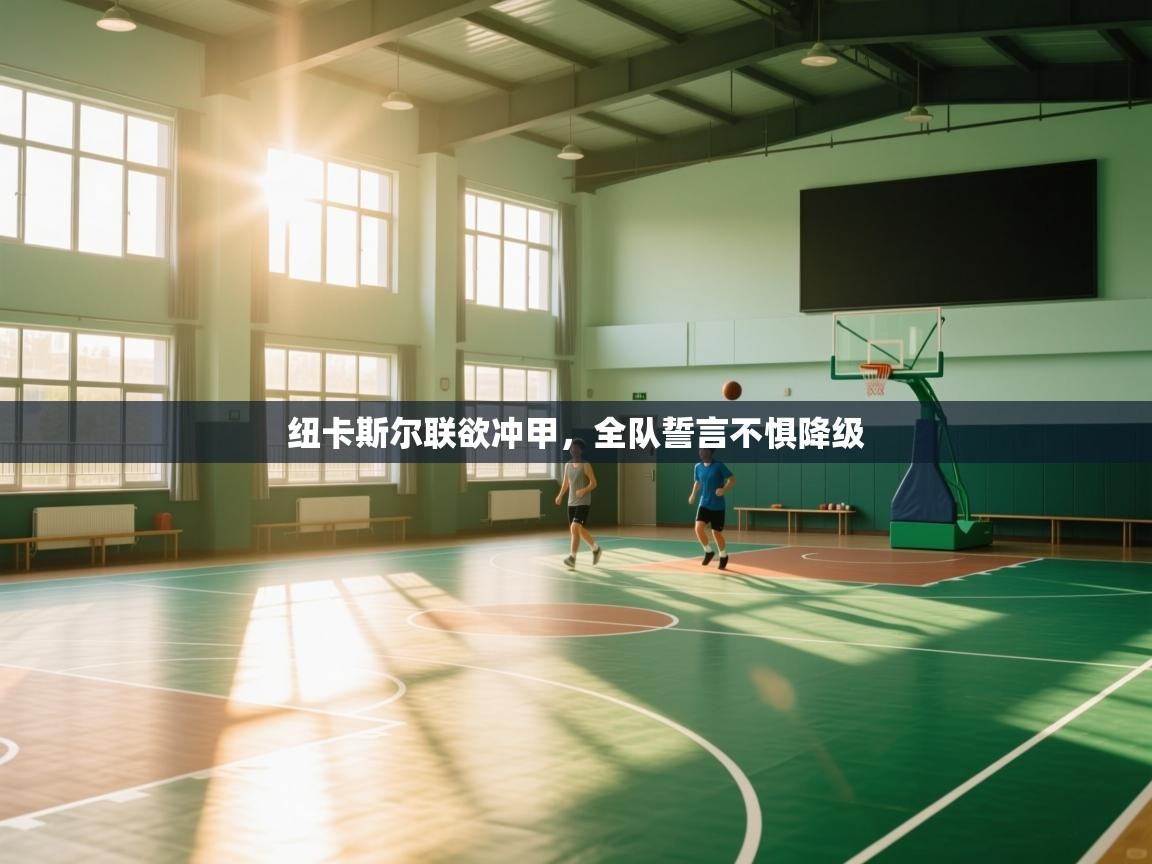 纽卡斯尔联欲冲甲，全队誓言不惧降级  第2张