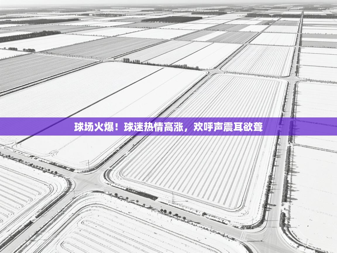 球场火爆！球迷热情高涨，欢呼声震耳欲聋  第1张