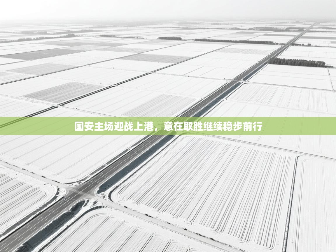 国安主场迎战上港，意在取胜继续稳步前行  第1张